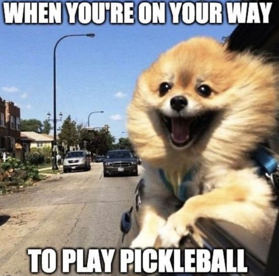 Week 5: YouTube Pickleball Blog