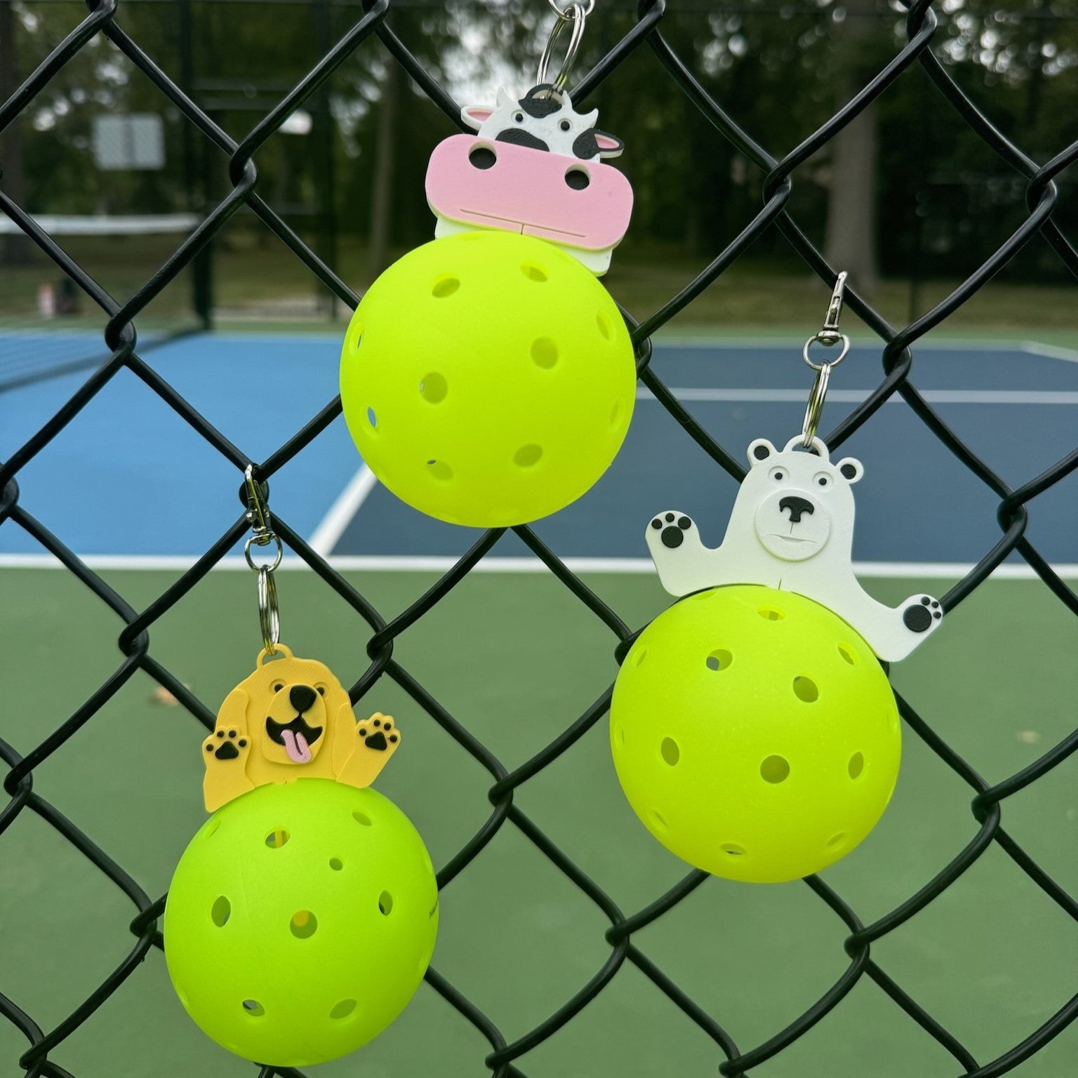 Pickle-Pal Variety Bundle – Veto Athletic